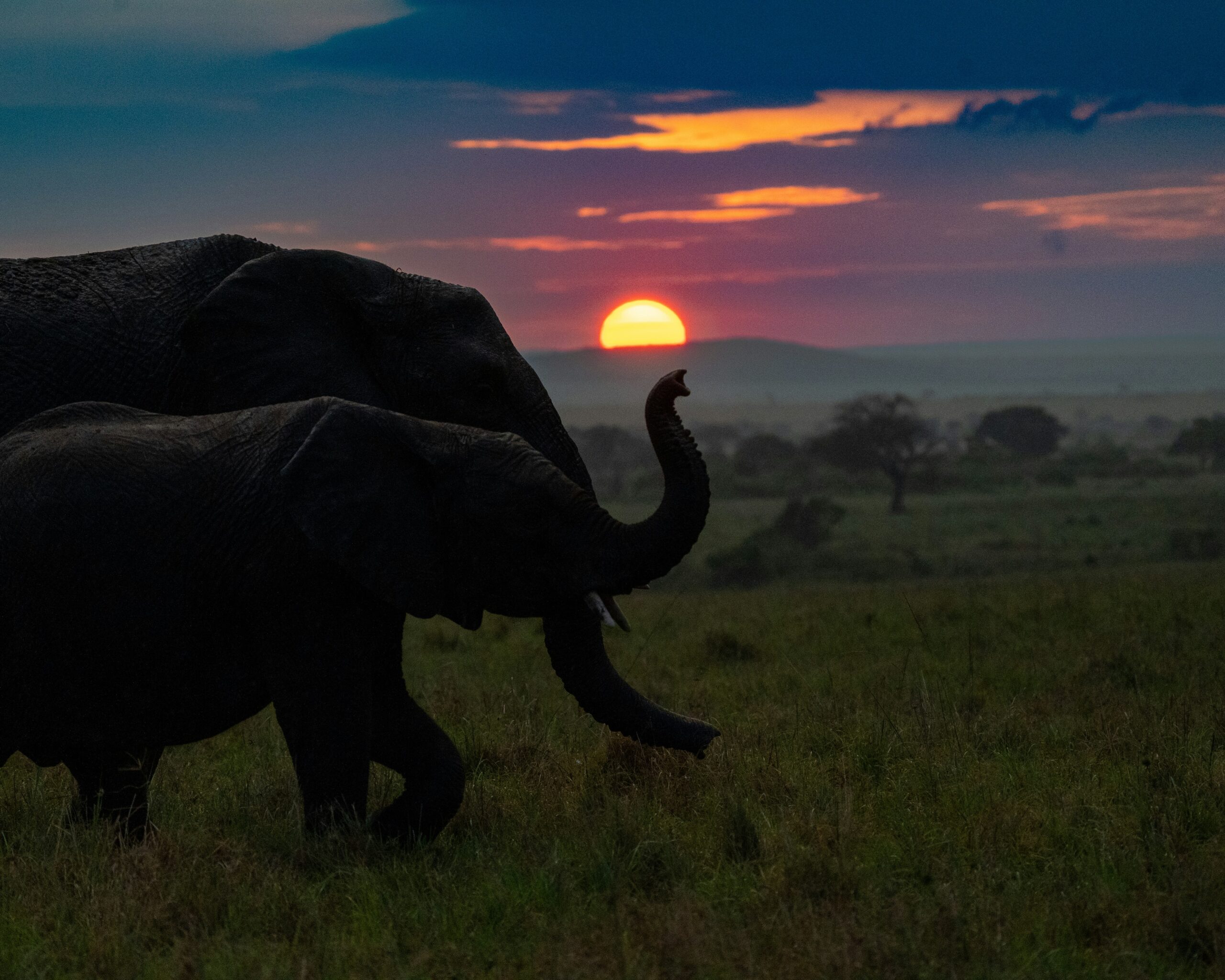 Kenya beginner safari parks guide featuring Maasai Mara sunrise landscape