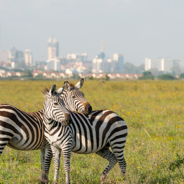 Best Travel Destinations in Nairobi County