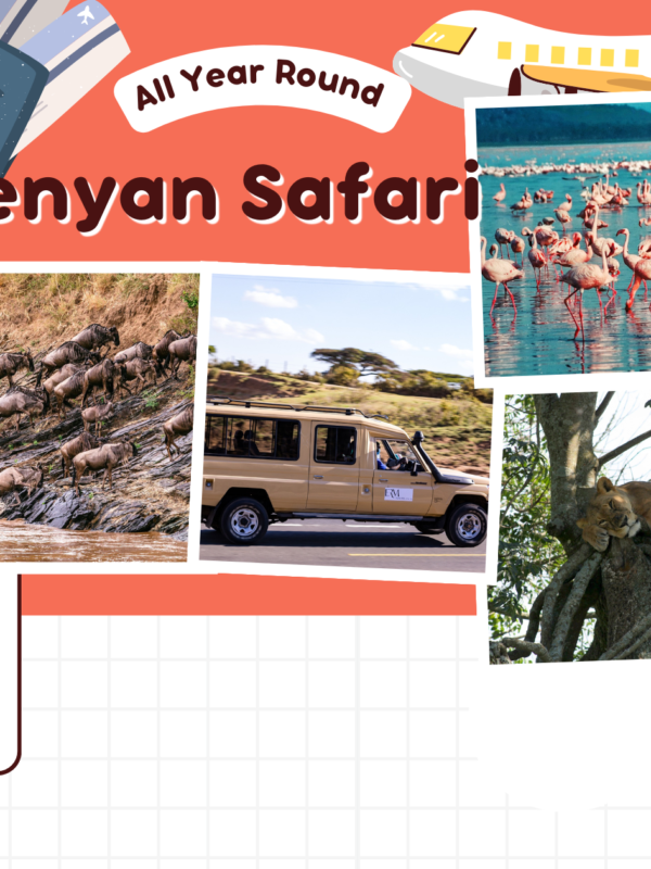 Kenyan Safari