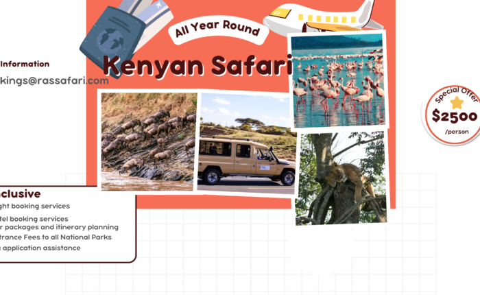 Kenyan Safari