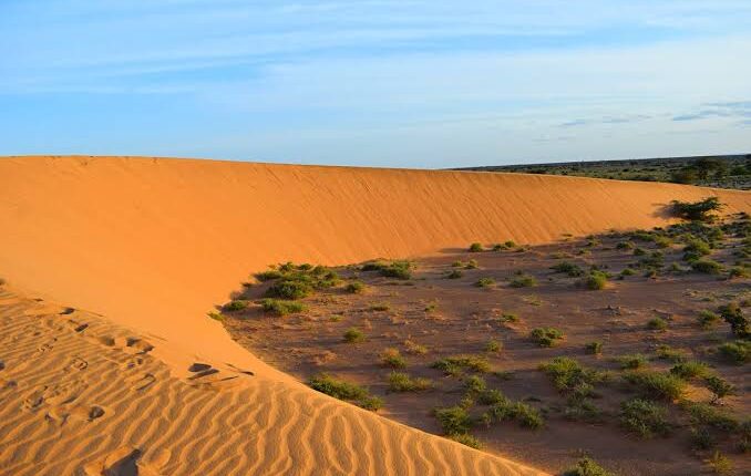 Chalbi desert