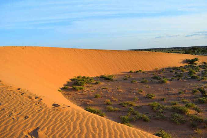 Chalbi desert