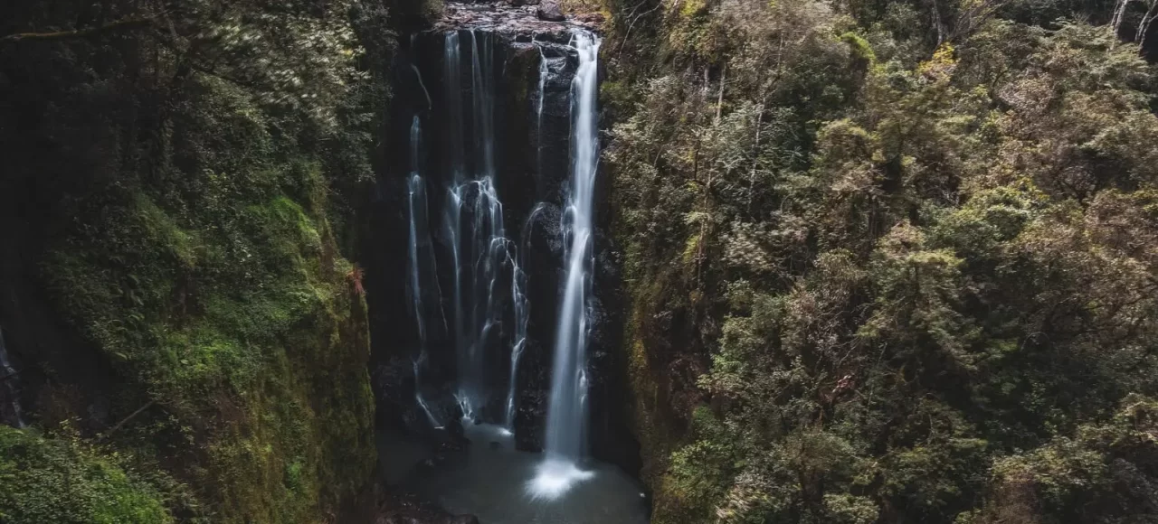 Ragia Forest and Waterfall Hike