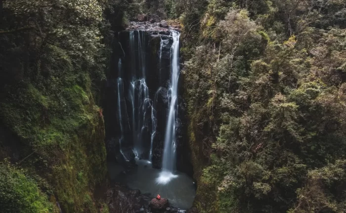 Ragia Forest and Waterfall Hike