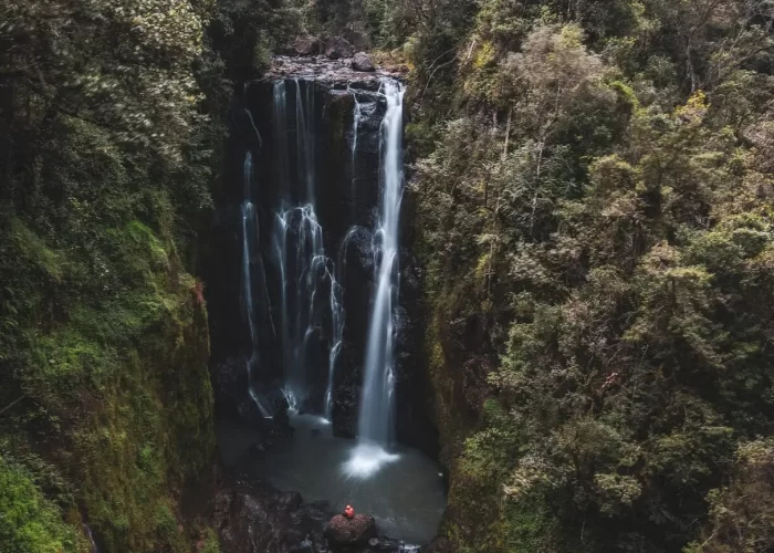 Ragia Forest and Waterfall Hike