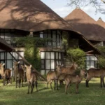 Lake Nakuru Sopa Lodge
