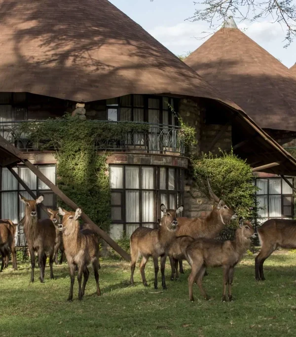 Lake Nakuru Sopa Lodge