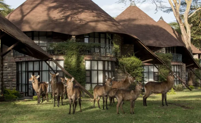 Lake Nakuru Sopa Lodge