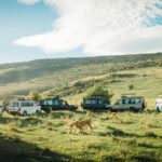 Kenya safari cost breakdown 2026