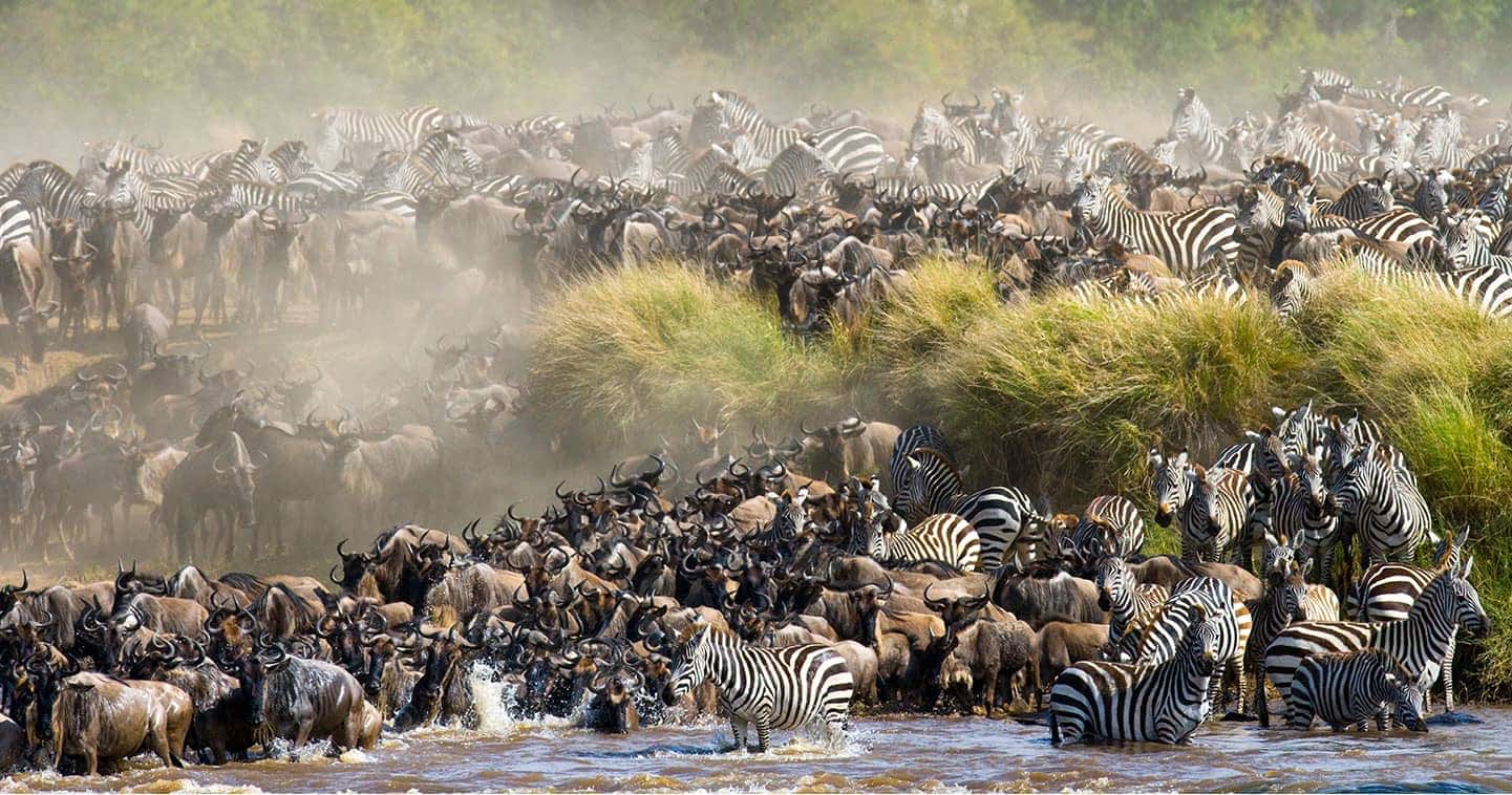 best time for Kenya safari river crossing during July migration