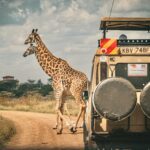 Kenya safari cost breakdown 2026 showing safari vehicle on game drive in Maasai Mara with girraffes