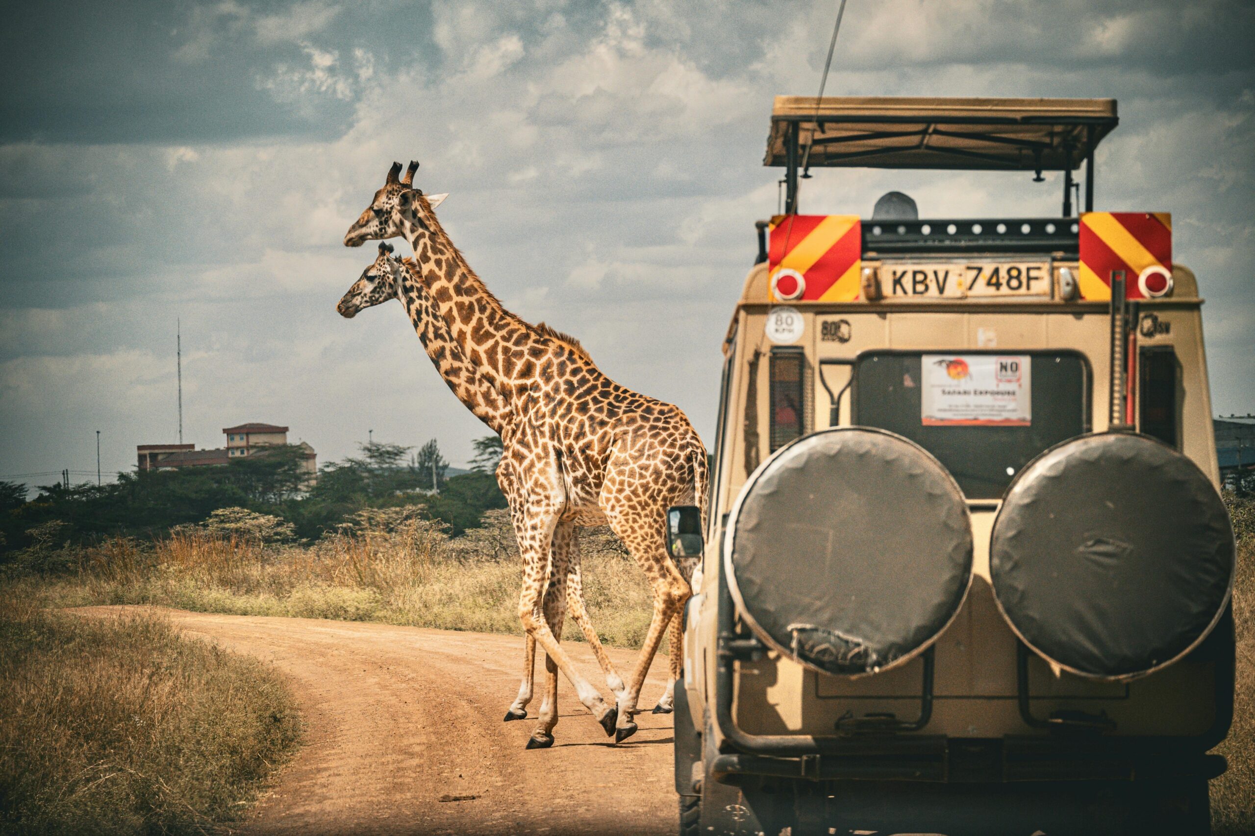 Kenya safari cost breakdown 2026 showing safari vehicle on game drive in Maasai Mara with girraffes