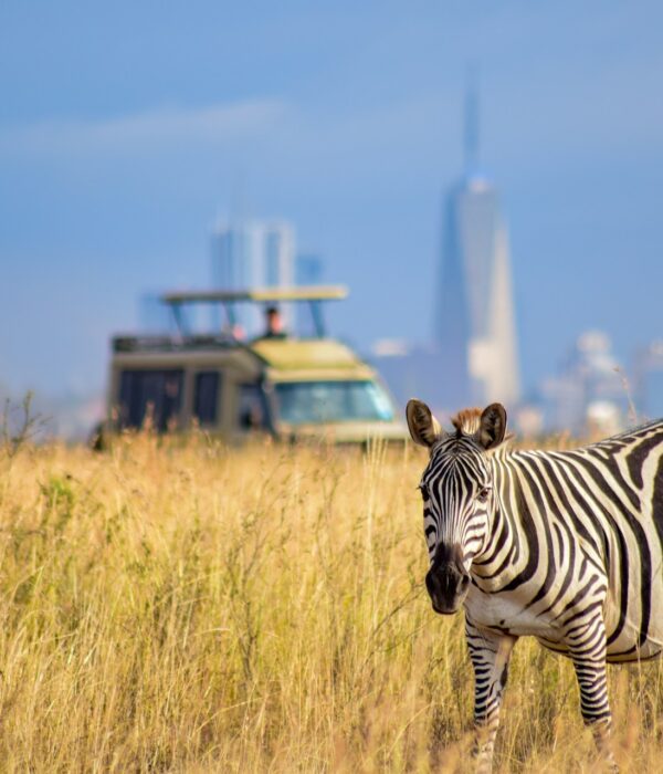 3 day vs 5 day Kenya safari comparison with safari vehicle in Maasai Mara
