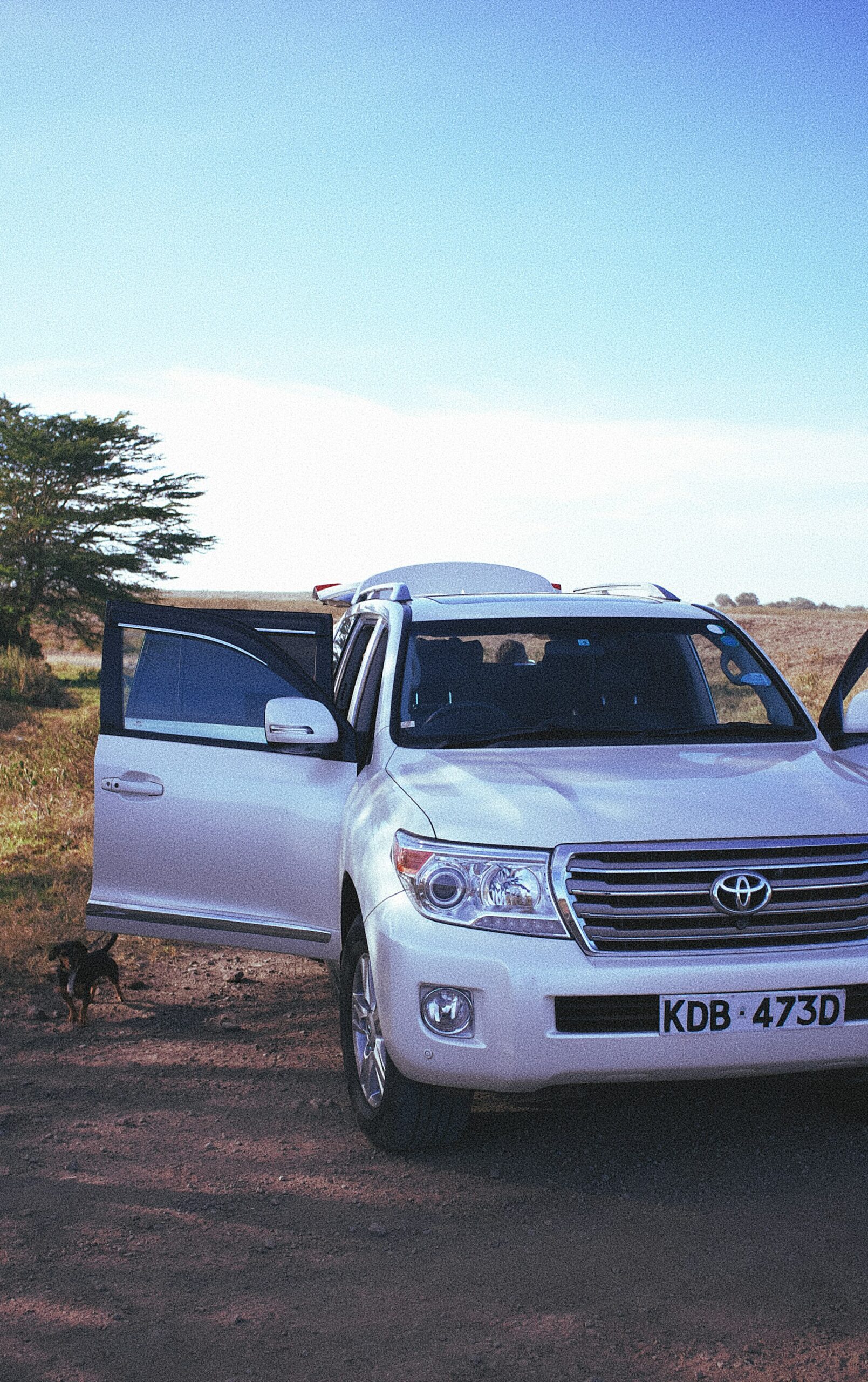 4x4 safari vehicle suitable for Kenya self-drive safari conditions