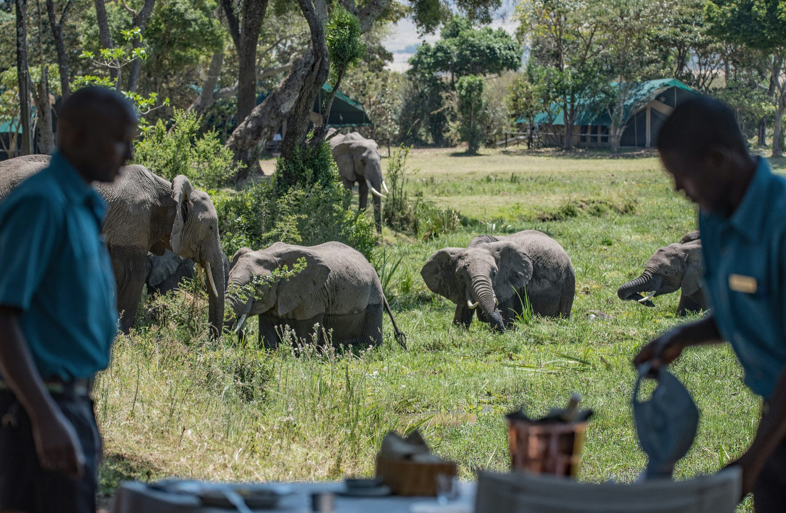 Luxury Lodge during a luxury Kenya safari experience