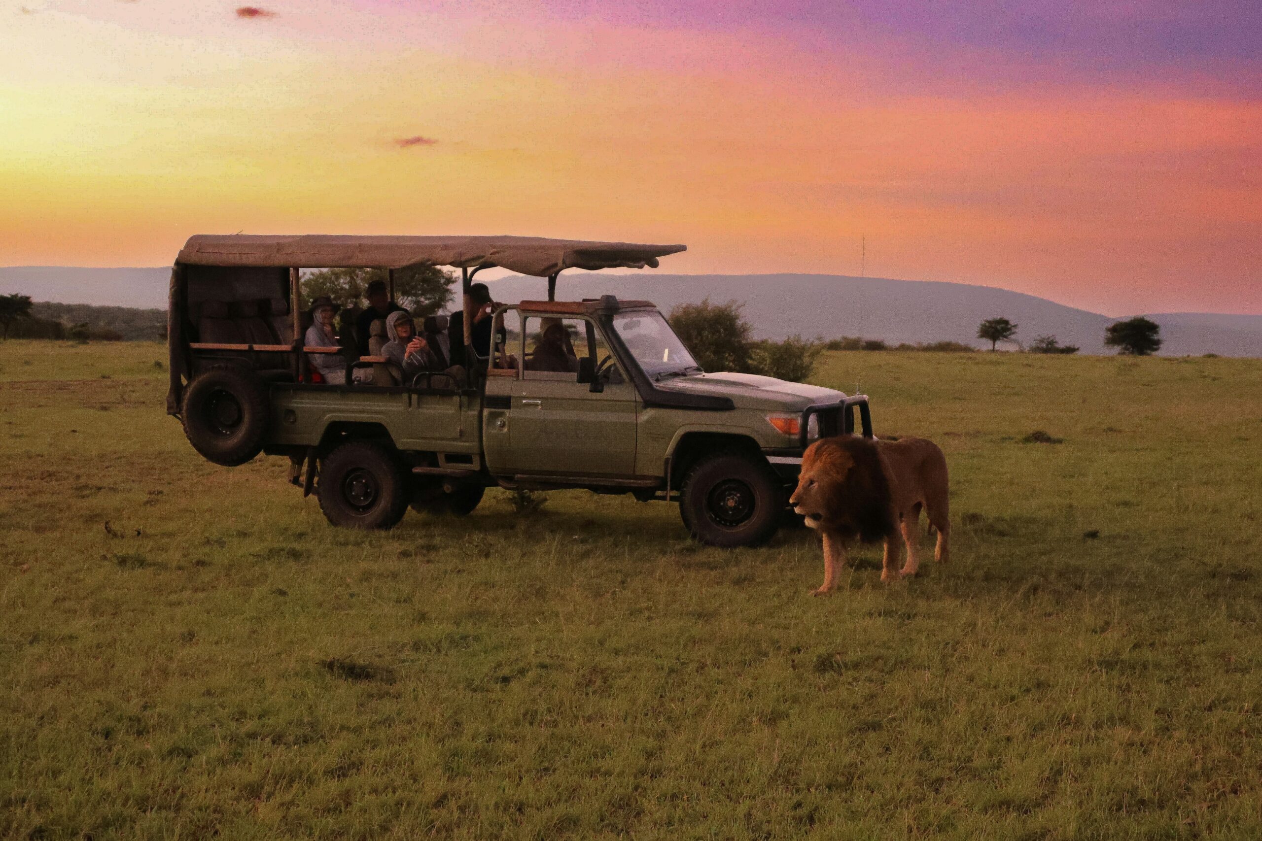 Kenya safari itinerary planner exploring the Maasai Mara savannah during a sunrise game drive