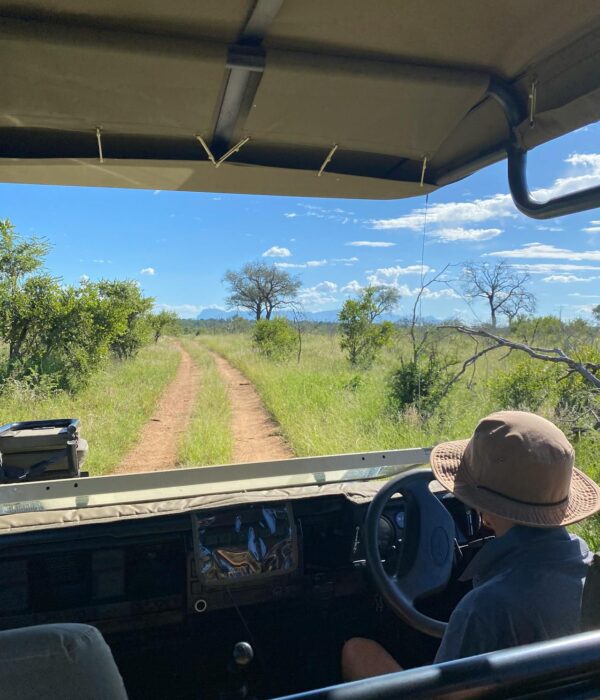 Kenya self-drive safari guide showing a 4x4 vehicle in the savannah during a game drive
