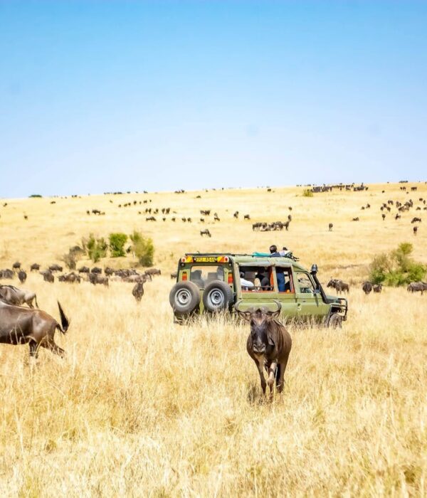 Travelers enjoying an African safari sunset illustrating safari cash planning for wildlife trips