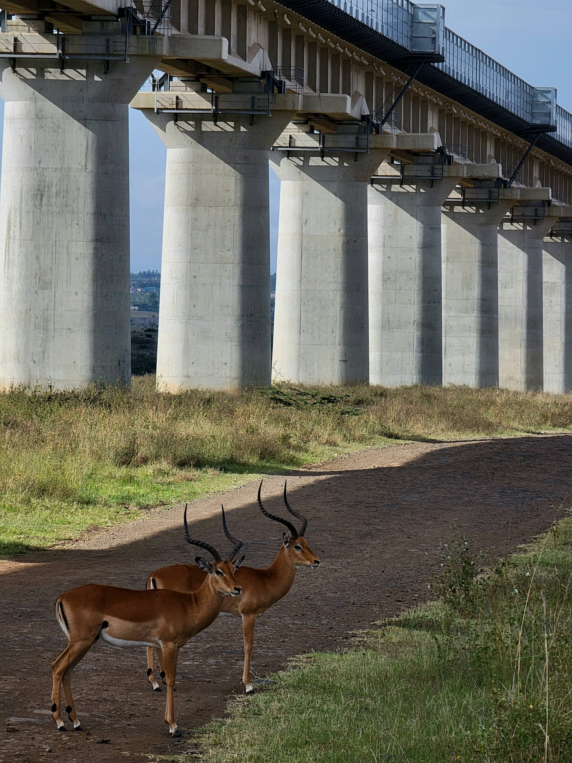 Madaraka Express train traveling to Mombasa