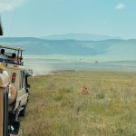 africa-travel-essentials-checklist