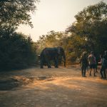 africa-travel-health-checklist-2026 Travelers preparing for a safe African safari adventure in 2026