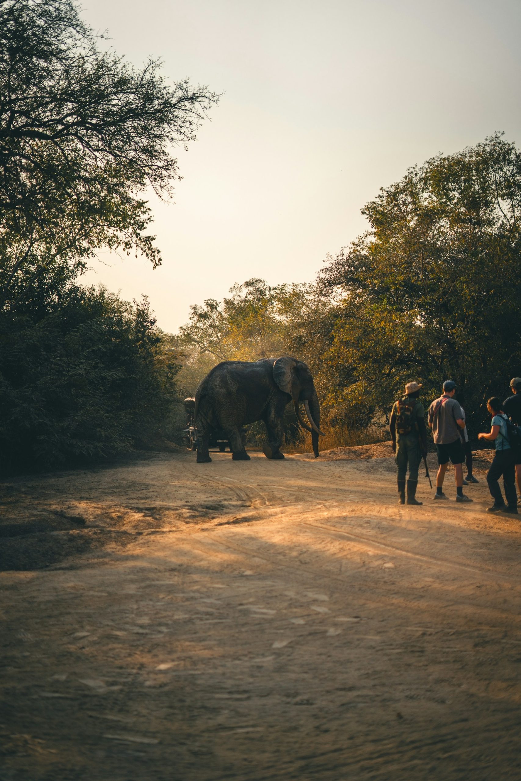 Travelers preparing for a safe African safari adventure in 2026