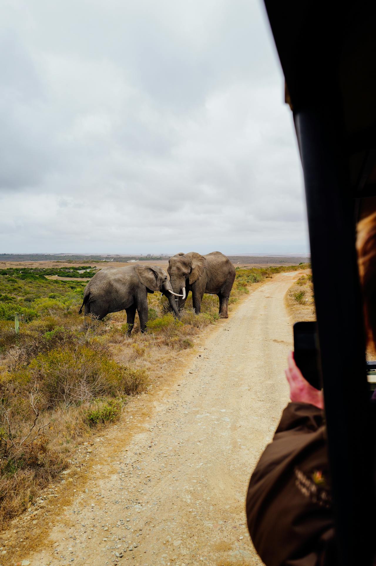 Travelers staying safe during an African safari