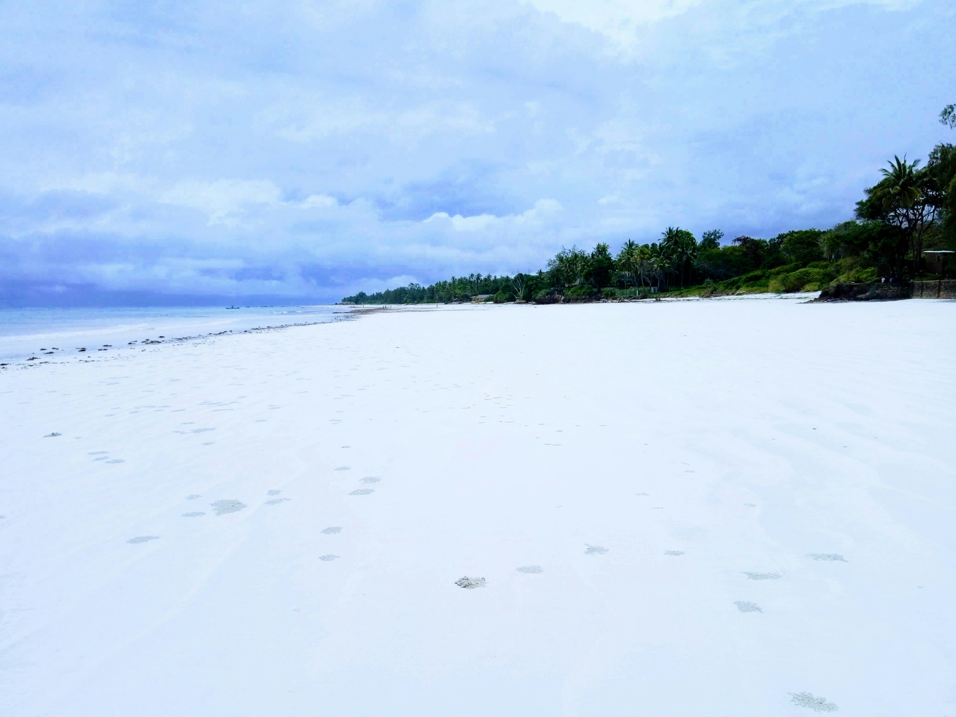 Kenya travel safety guide 2026 showing Diani Beach coastline and palm trees
