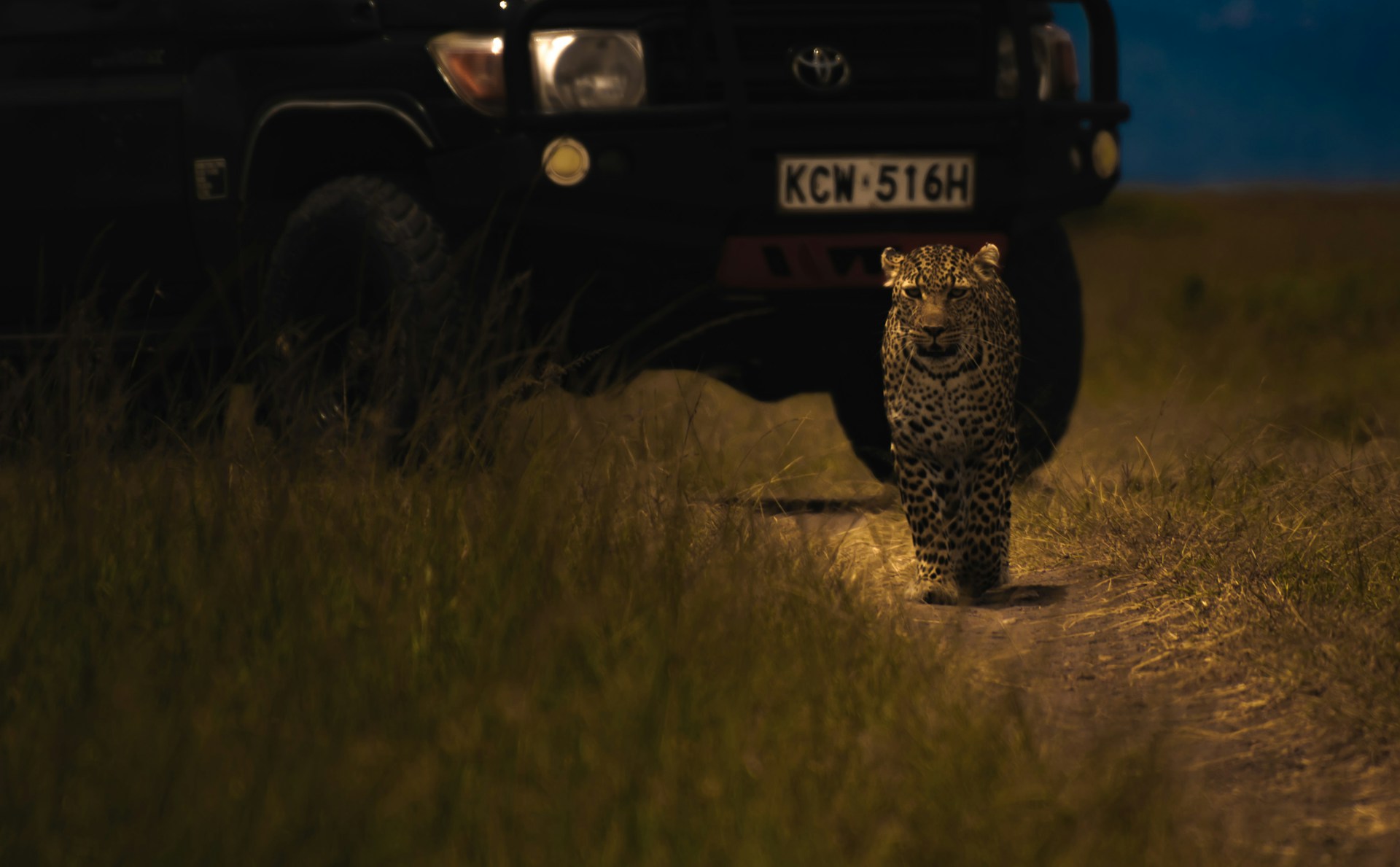 Kenya travel safety guide 2026 showing safari vehicle in Maasai Mara with wildlife
