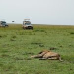 Kenya travel safety guide 2026 showing safari jeep in Maasai Mara at sunset