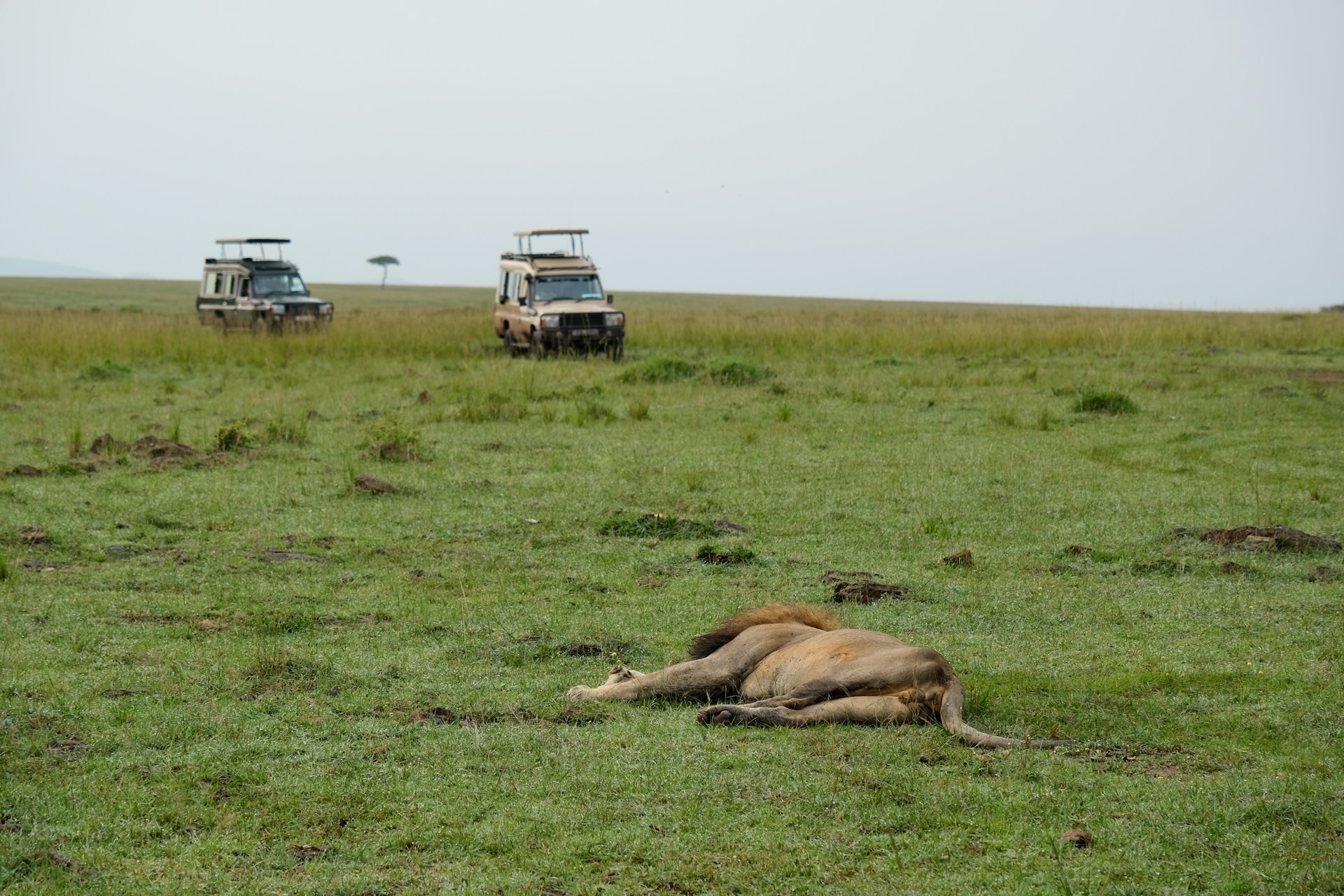 Kenya travel safety guide 2026 showing safari jeep in Maasai Mara at sunset